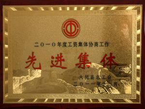 2010年度工资集体协商工作先进集体