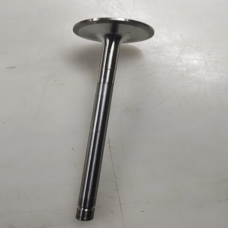 Suitable for Volvo D16D exhaust valve 20513285 Suitable for Volvo EC700BLC EC750EL EC950FLC4 engine accessories